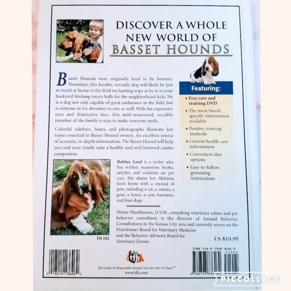 THE BASSET HOUND Book With Training DVD - Picture 2 of 6